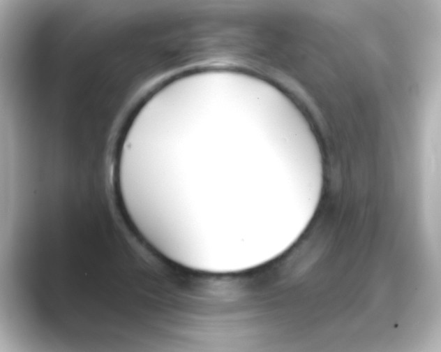 X0000088681416200706211901