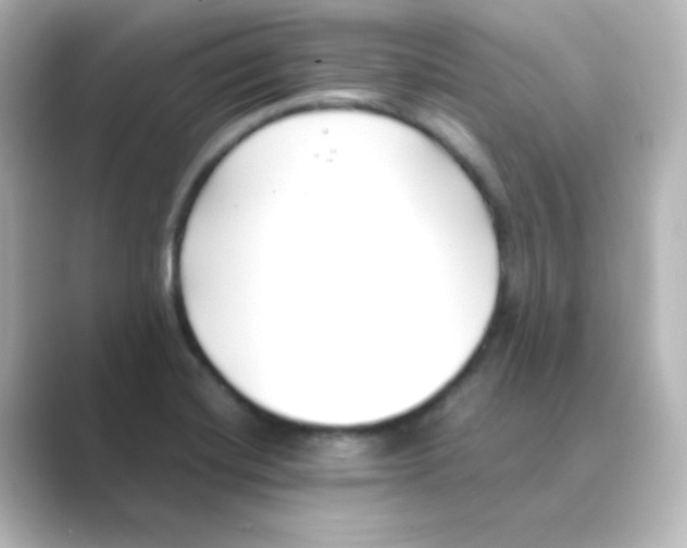 X0000088681420200706211901