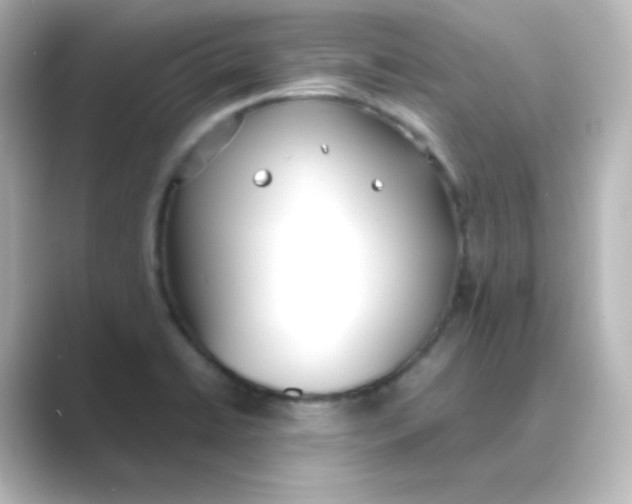 X0000088681422200706211901