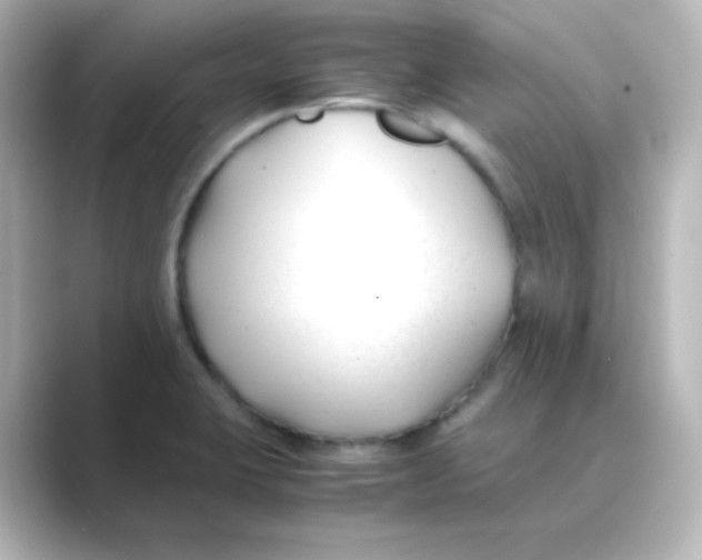 X0000088681423200706211901