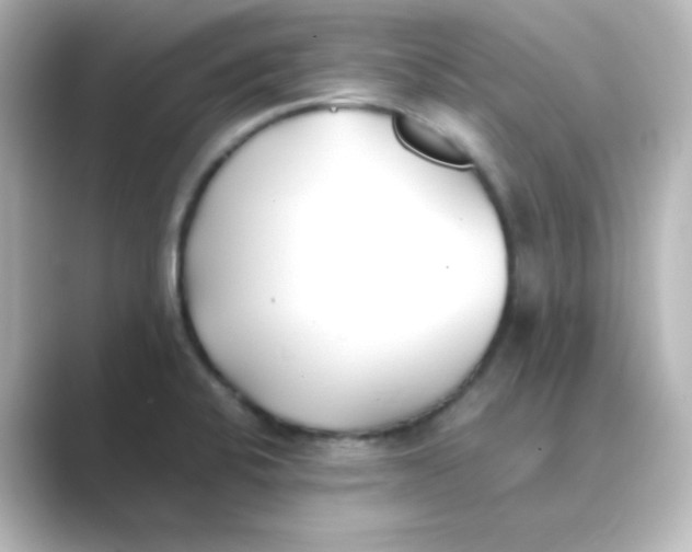 X0000088681424200706211901