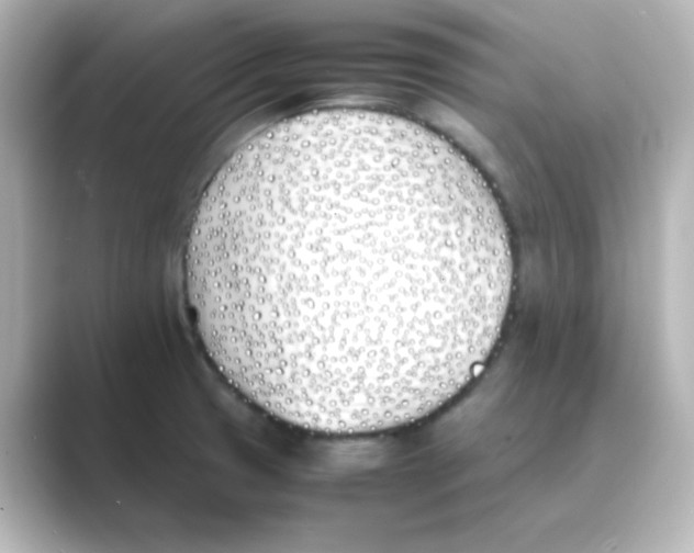 X0000088681425200706211901