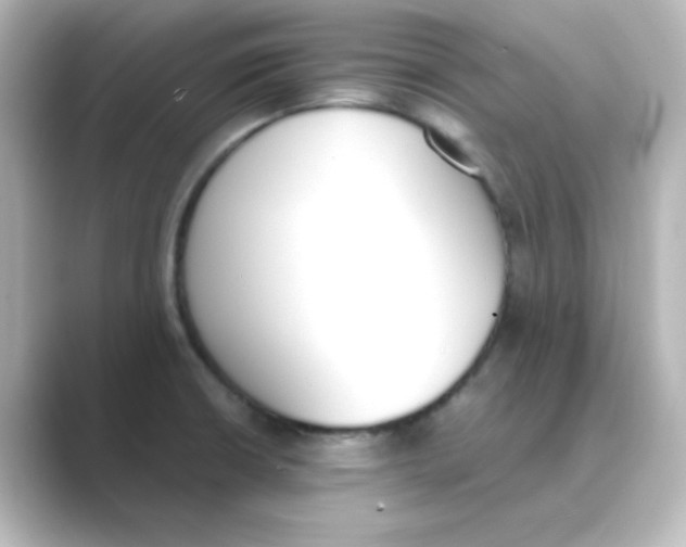 X0000088681426200706211901