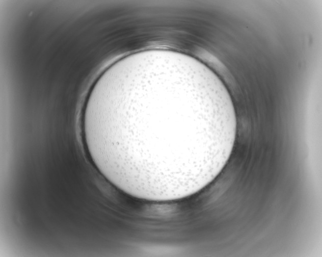 X0000088681427200706211901