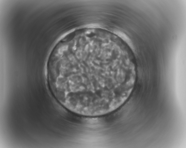 X0000088681428200706211901