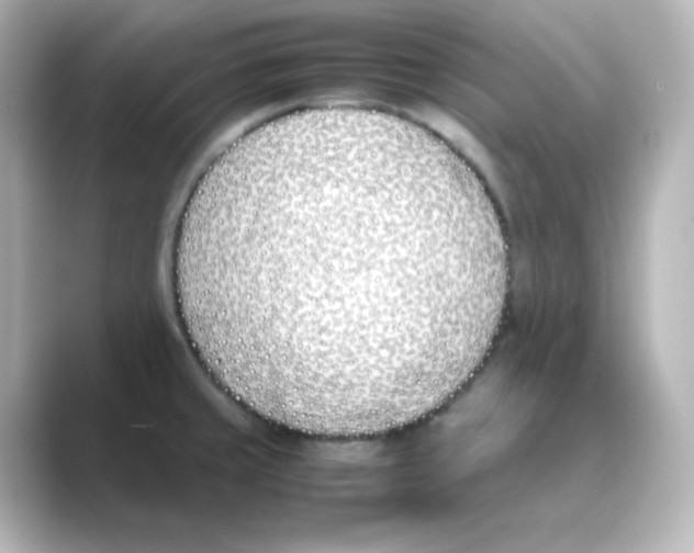 X0000088681429200706211901