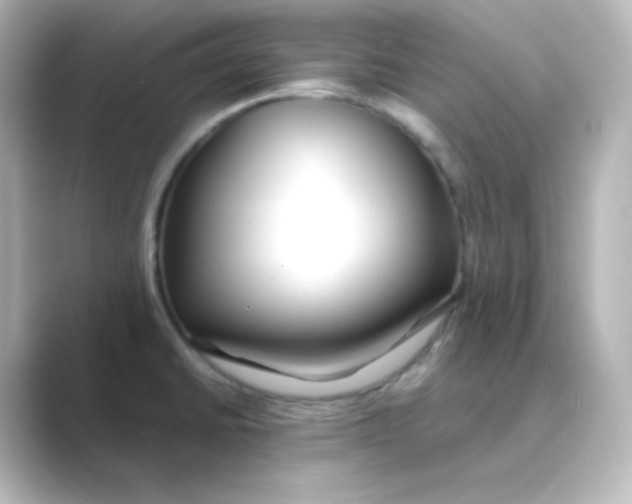 X0000088681430200706211901