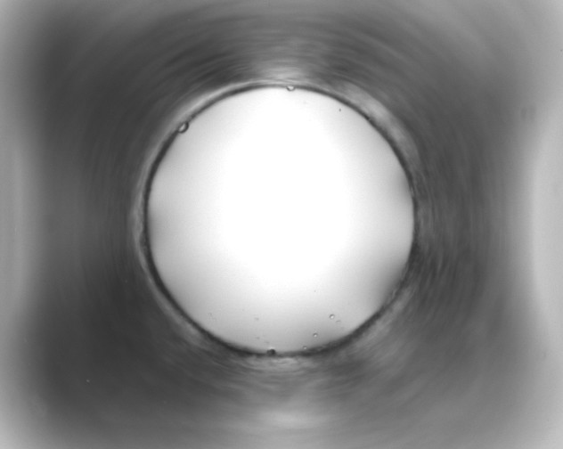 X0000088681432200706211901