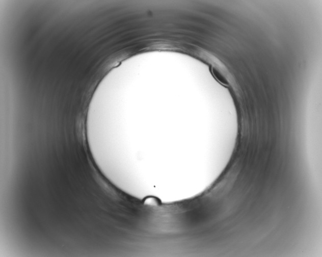 X0000088681433200706211901