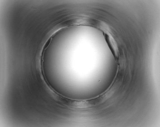 X0000088681434200706211901