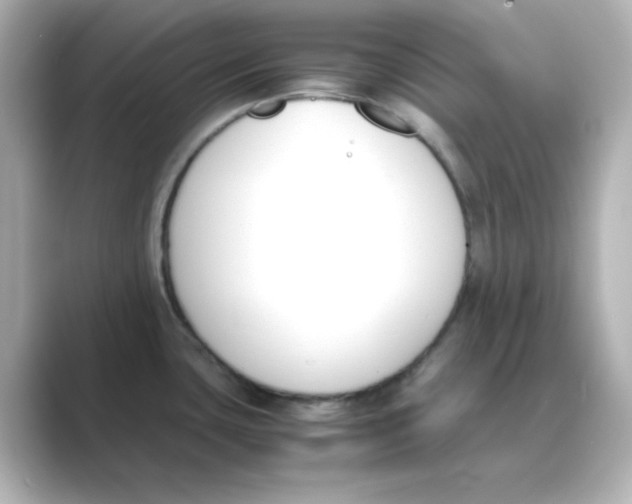 X0000088681435200706211901