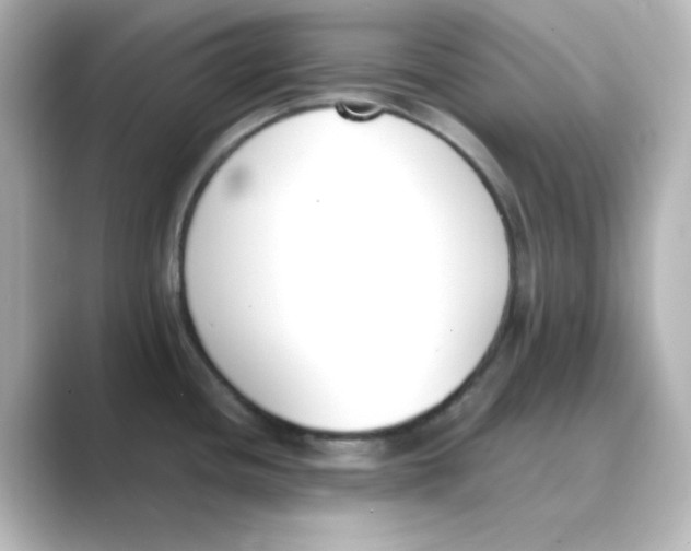 X0000088681436200706211901