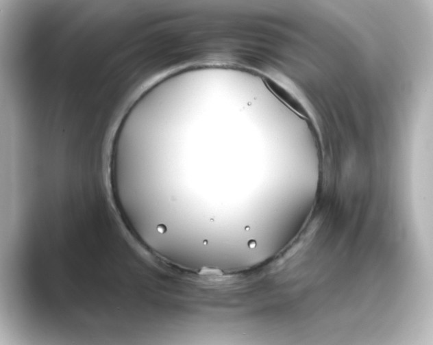 X0000088681437200706211901