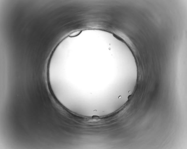 X0000088681439200706211901