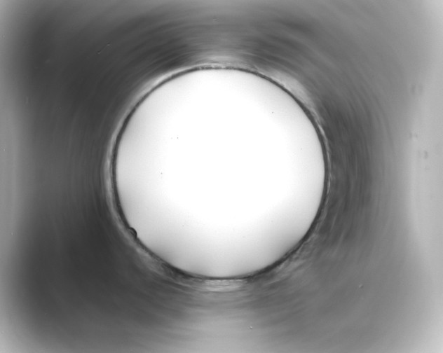 X0000088681440200706211901