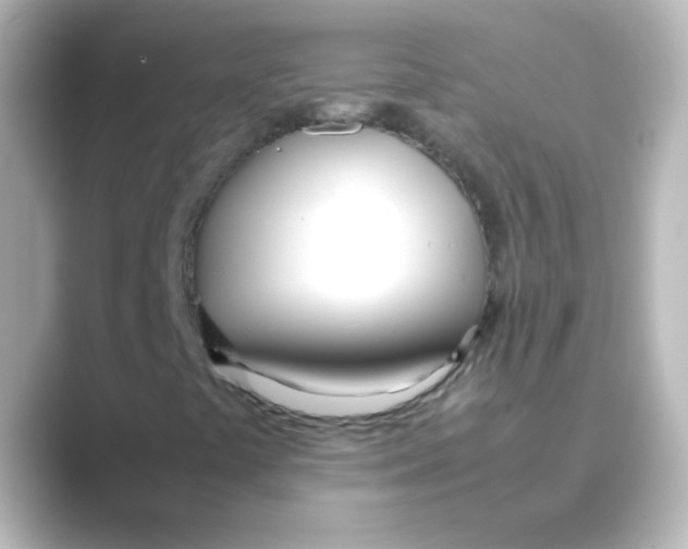 X0000088681441200706211900