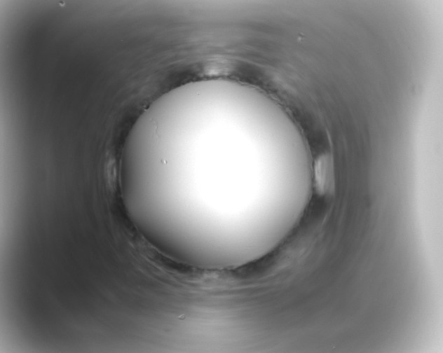 X0000088681443200706211900