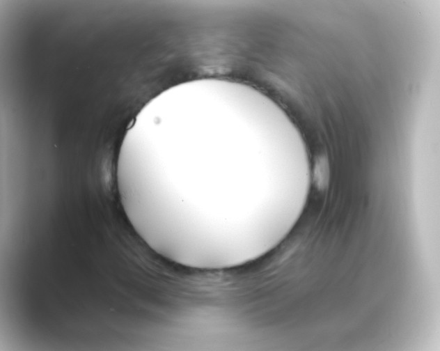 X0000088681444200706211900