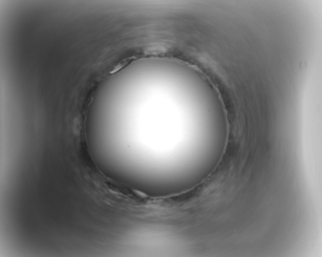 X0000088681445200706211900