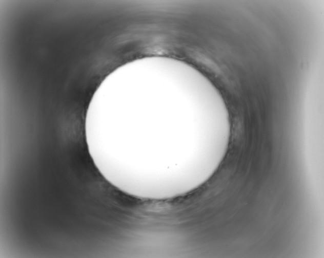 X0000088681446200706211900