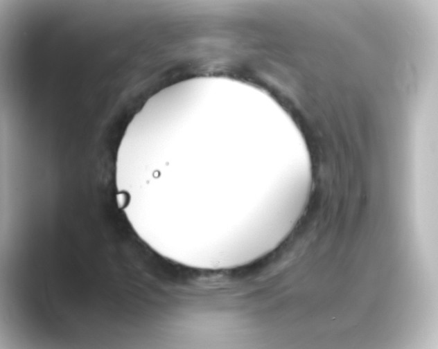 X0000088681447200706211900