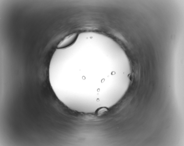 X0000088681448200706211900