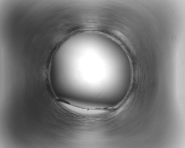X0000088681449200706211900