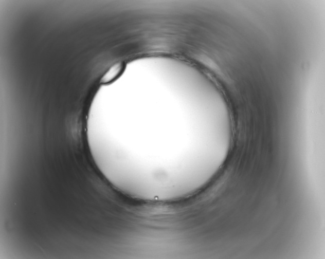 X0000088681450200706211900