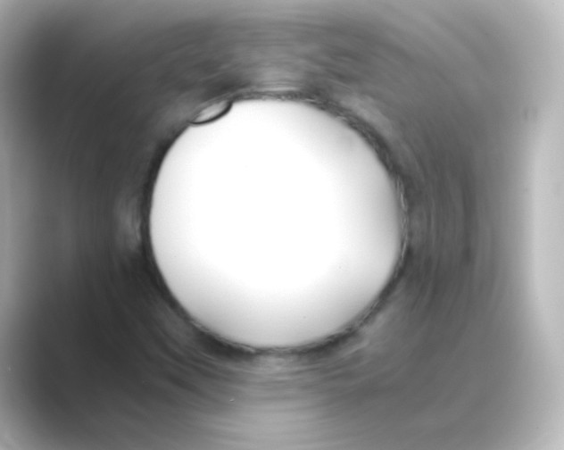 X0000088681451200706211900
