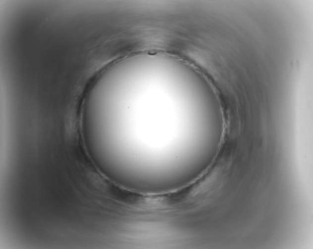X0000088681453200706211900