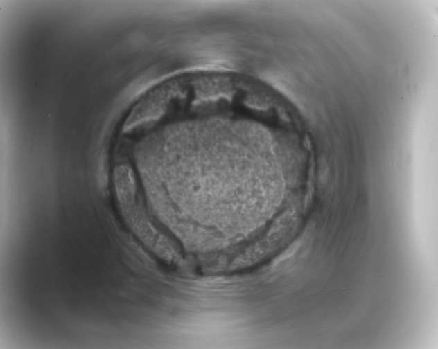 X0000088681455200706211900