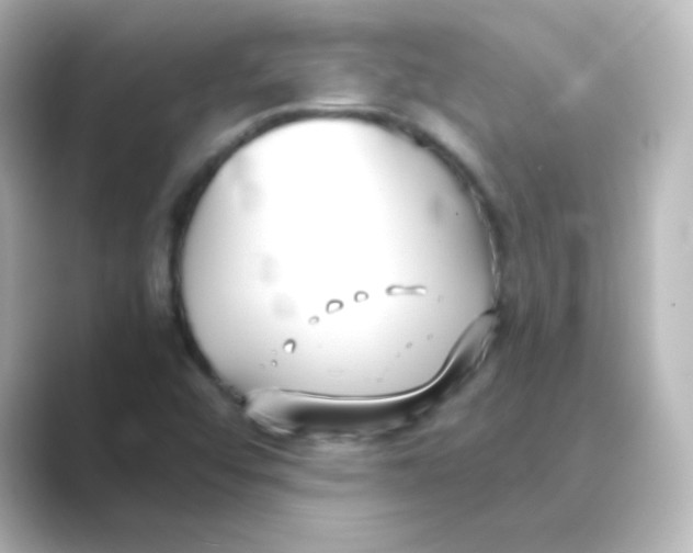 X0000088681456200706211900