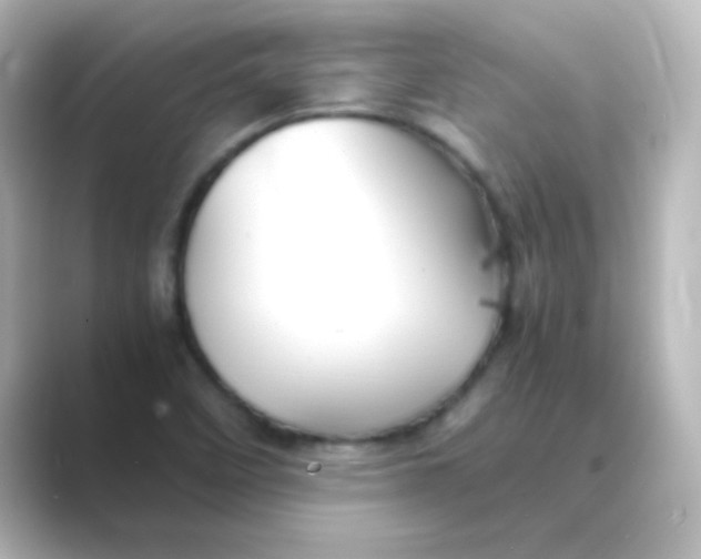 X0000088681458200706211900