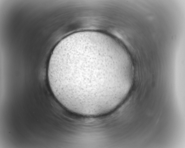 X0000088681459200706211900