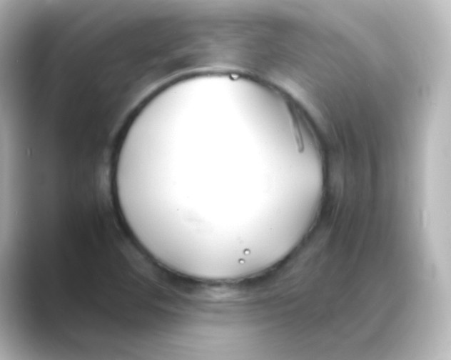X0000088681460200706211900