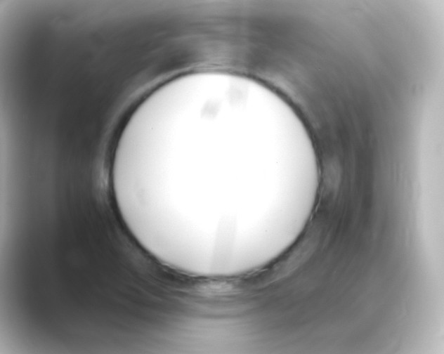 X0000088681462200706211900