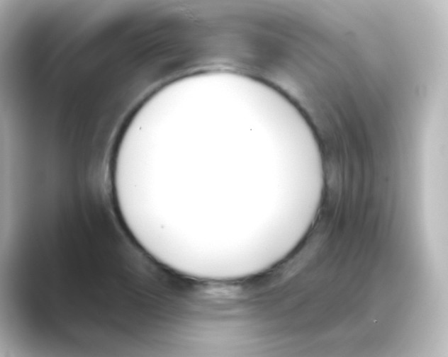 X0000088681466200706211900