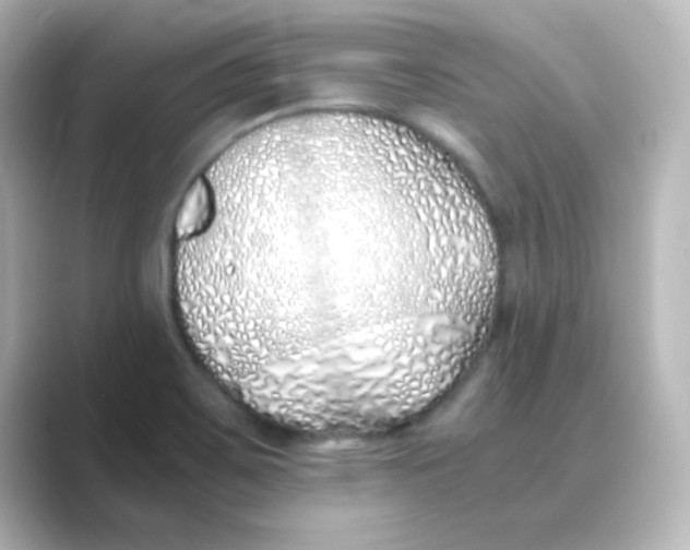 X0000088681467200706211900