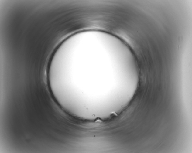 X0000088681468200706211900