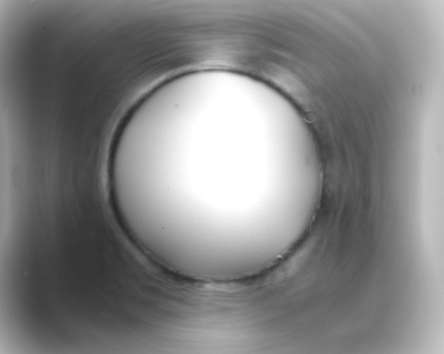 X0000088681469200706211900