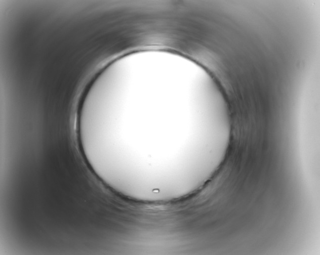 X0000088681472200706211900