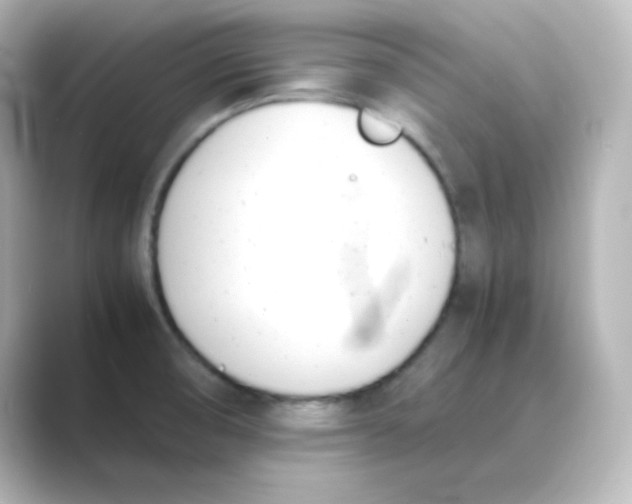 X0000088681474200706211900