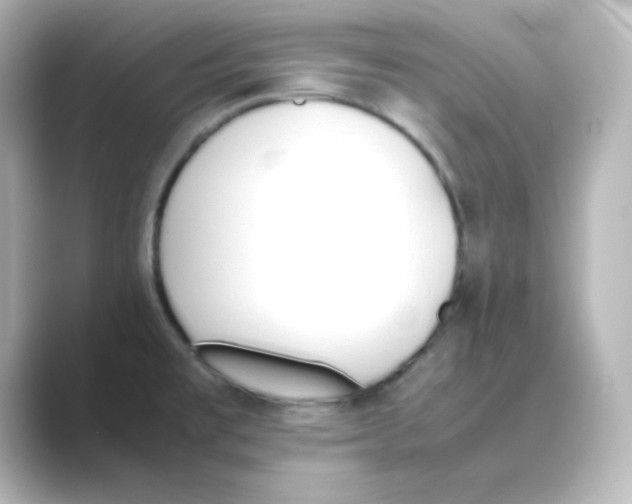 X0000088681477200706211900