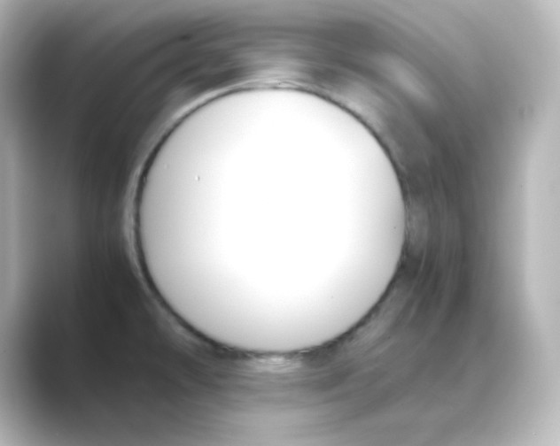 X0000088681478200706211900