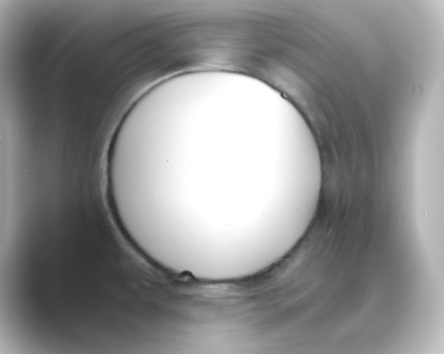 X0000088681479200706211900