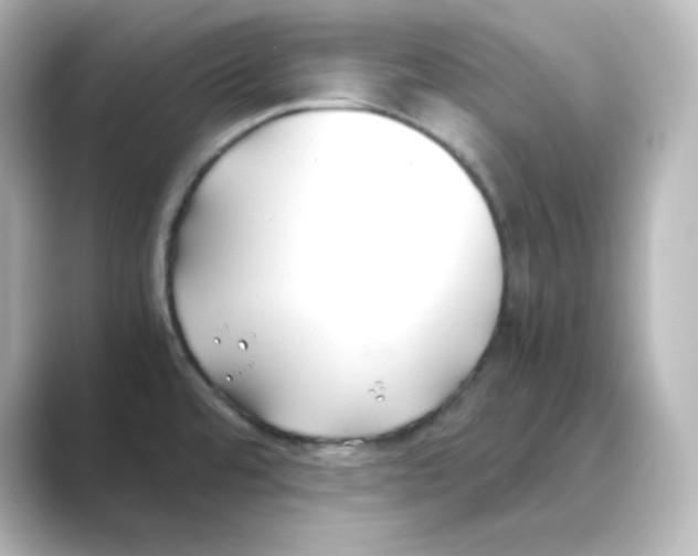 X0000088681480200706211900