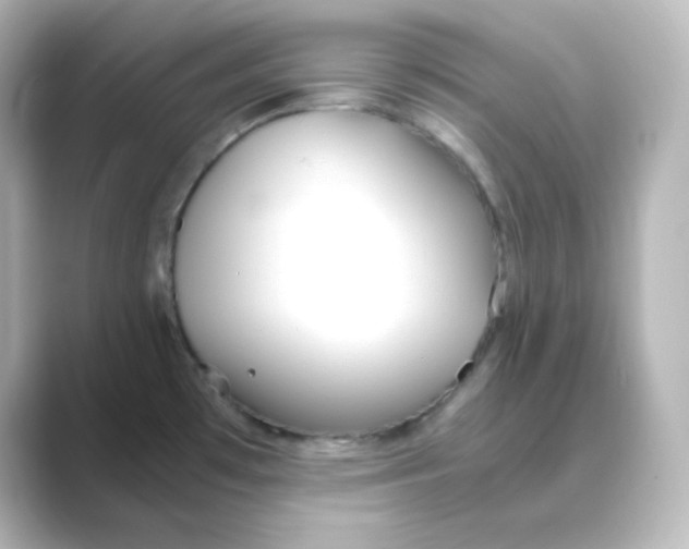 X0000088681481200706211900