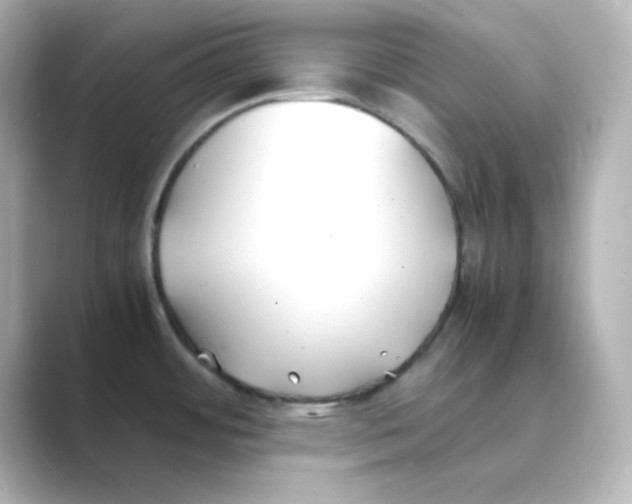 X0000088681484200706211900