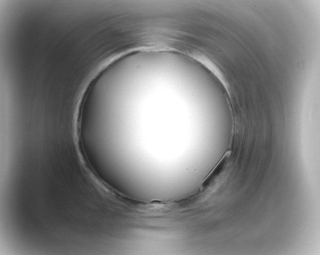 X0000088681485200706211900