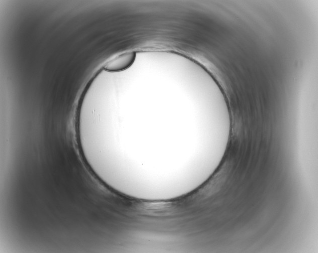 X0000088681486200706211900